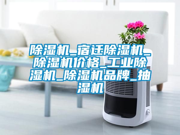 香蕉视频国产APP下载机_宿迁香蕉视频国产APP下载机_香蕉视频国产APP下载机价格_工业香蕉视频国产APP下载机_香蕉视频国产APP下载机品牌_抽湿机