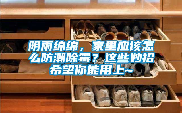 阴雨绵绵，家里应该怎么防潮除霉？这些妙招希望你能用上~