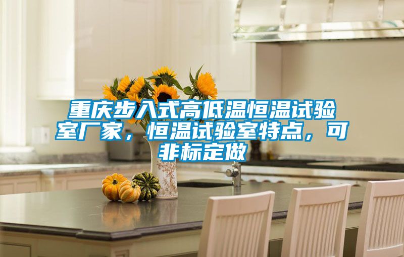 重庆步入式高低温恒温试验室厂家，恒温试验室特点，可非标定做