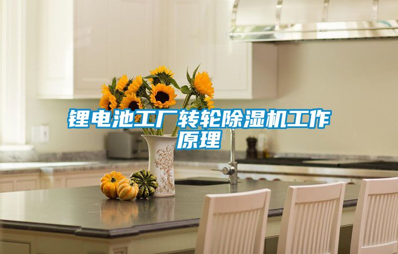 锂电池工厂转轮香蕉视频国产APP下载机工作原理