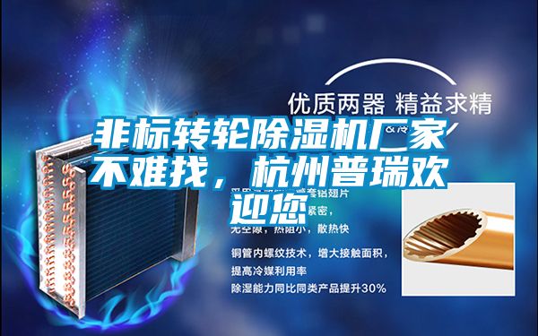 非标转轮香蕉视频国产APP下载机厂家不难找，杭州普瑞欢迎您
