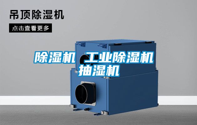 香蕉视频国产APP下载机 工业香蕉视频国产APP下载机 抽湿机