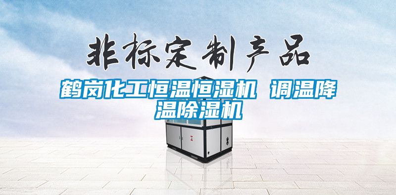 鹤岗化工恒温恒湿机 调温降温香蕉视频国产APP下载机