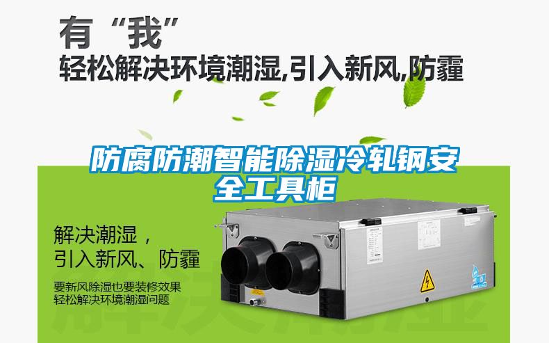 防腐防潮智能香蕉视频国产APP下载冷轧钢安全工具柜