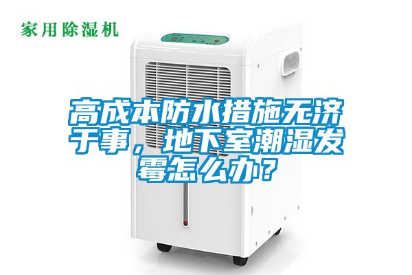 高成本防水措施无济于事，地下室潮湿发霉怎么办？