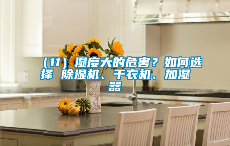 （11）湿度大的危害？如何选择 香蕉视频国产APP下载机、干衣机、加湿器