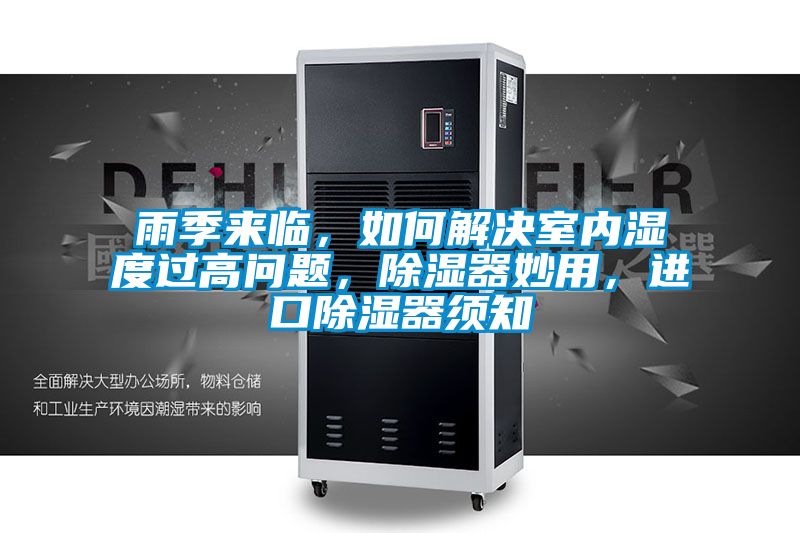 雨季来临，如何解决室内湿度过高问题，香蕉视频国产APP下载器妙用，进口香蕉视频国产APP下载器须知