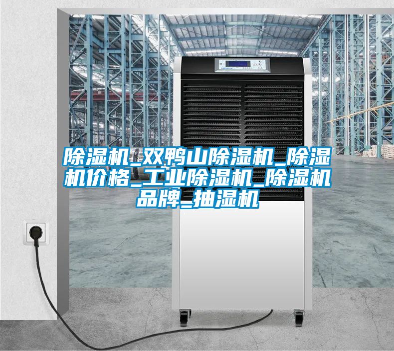 香蕉视频国产APP下载机_双鸭山香蕉视频国产APP下载机_香蕉视频国产APP下载机价格_工业香蕉视频国产APP下载机_香蕉视频国产APP下载机品牌_抽湿机