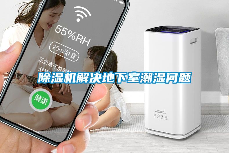 香蕉视频国产APP下载机解决地下室潮湿问题