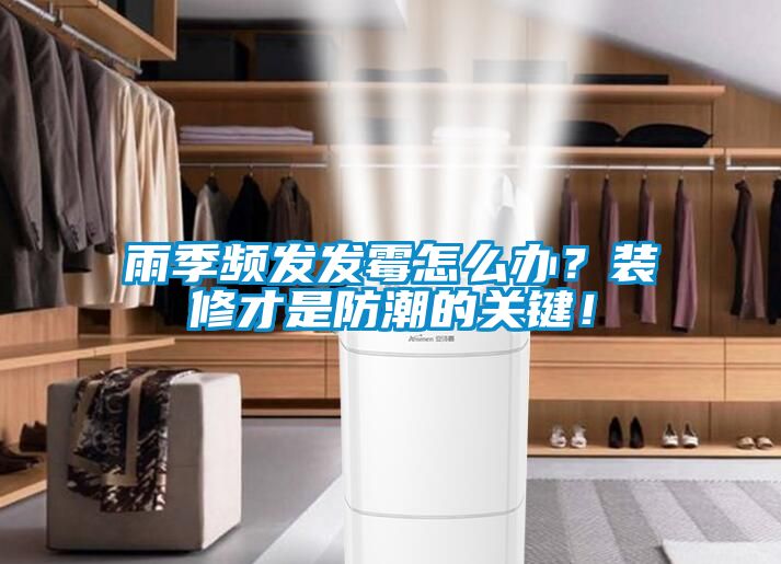 雨季频发发霉怎么办？装修才是防潮的关键！