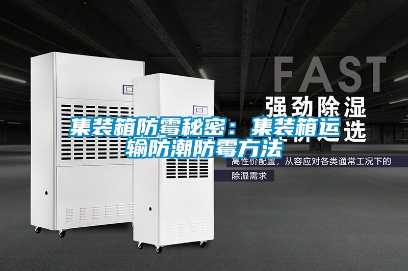 集装箱防霉秘密：集装箱运输防潮防霉方法