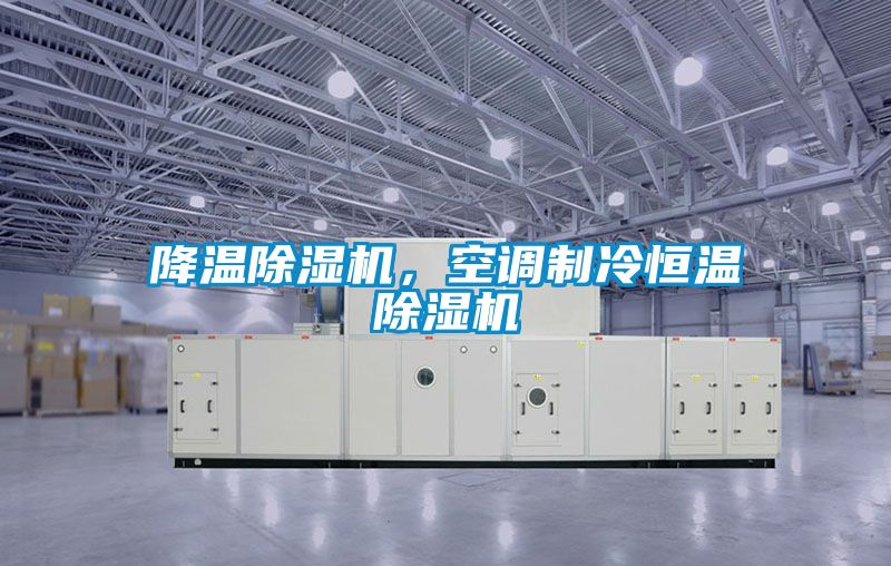 降温香蕉视频国产APP下载机，空调制冷恒温香蕉视频国产APP下载机