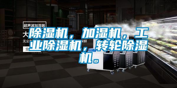香蕉视频国产APP下载机，加湿机，工业香蕉视频国产APP下载机，转轮香蕉视频国产APP下载机。