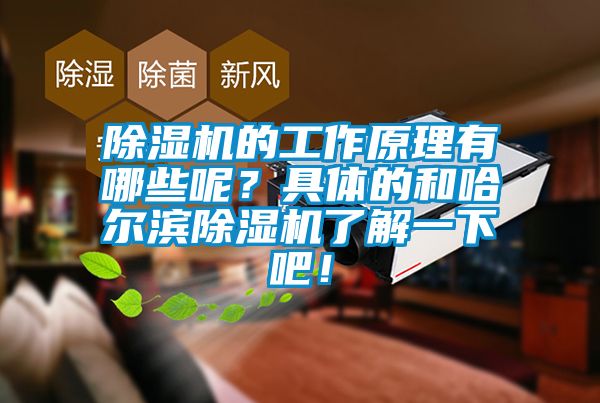 香蕉视频国产APP下载机的工作原理有哪些呢？具体的和哈尔滨香蕉视频国产APP下载机了解一下吧！