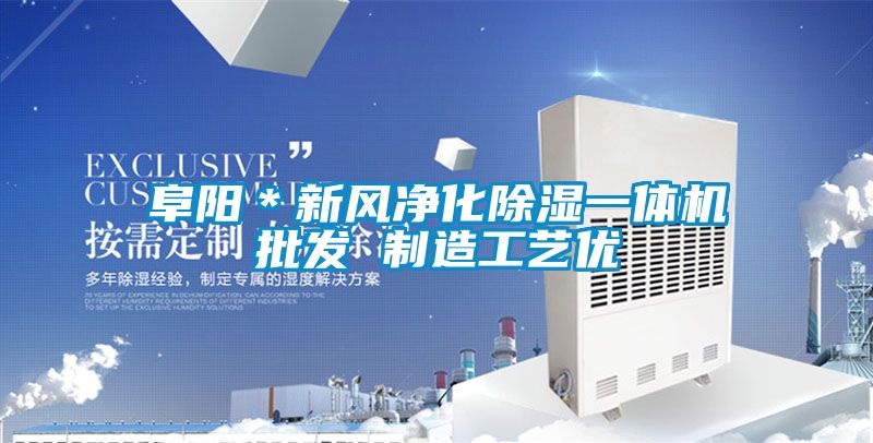阜阳＊新风净化香蕉视频国产APP下载一体机批发 制造工艺优