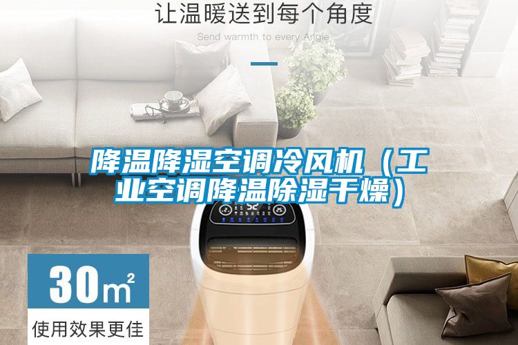 降温降湿空调冷风机（工业空调降温香蕉视频国产APP下载干燥）