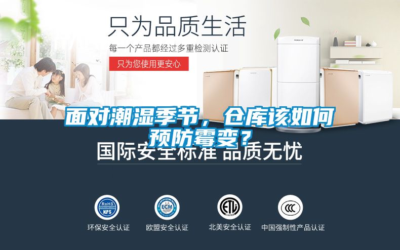 面对潮湿季节，仓库该如何预防霉变？