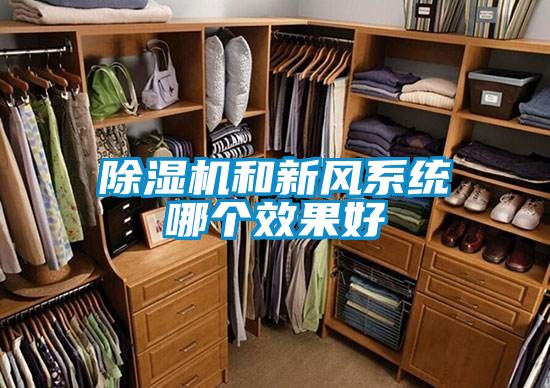 香蕉视频国产APP下载机和新风系统哪个效果好