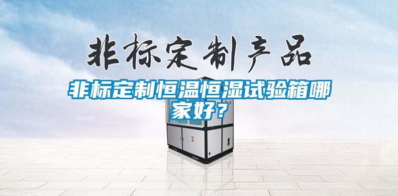 非标定制恒温恒湿试验箱哪家好？