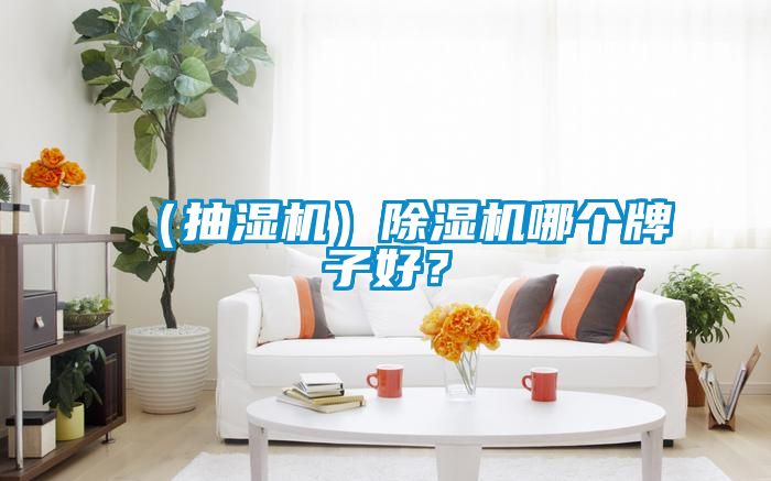 （抽湿机）香蕉视频国产APP下载机哪个牌子好？