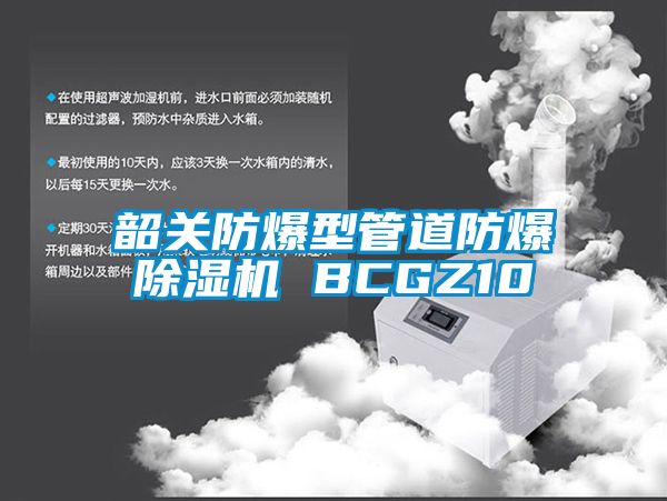 韶关防爆型管道防爆香蕉视频国产APP下载机 BCGZ10