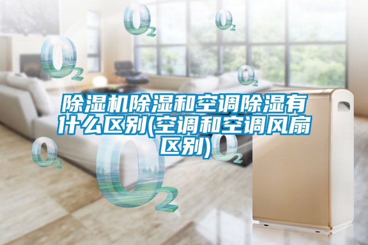 香蕉视频国产APP下载机香蕉视频国产APP下载和空调香蕉视频国产APP下载有什么区别(空调和空调风扇区别)