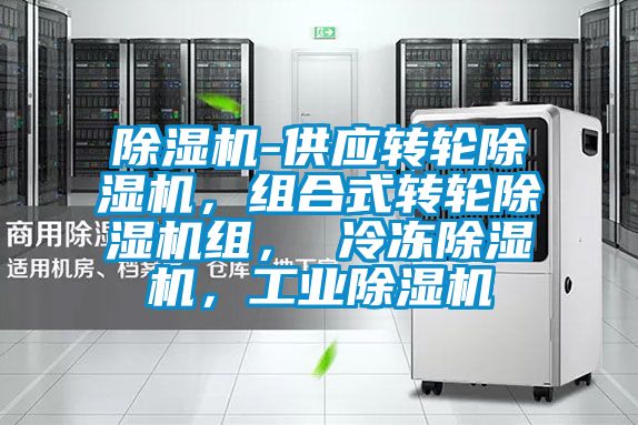 香蕉视频国产APP下载机-供应转轮香蕉视频国产APP下载机，组合式转轮香蕉视频国产APP下载机组， 冷冻香蕉视频国产APP下载机，工业香蕉视频国产APP下载机