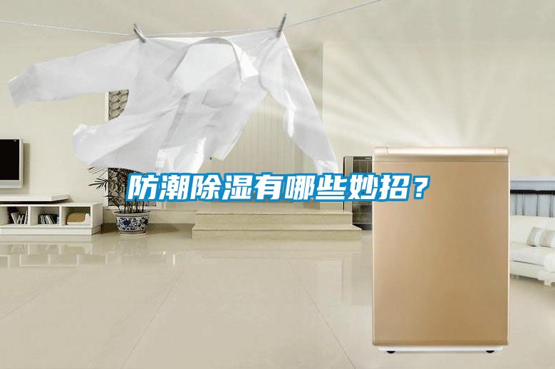 防潮香蕉视频国产APP下载有哪些妙招？