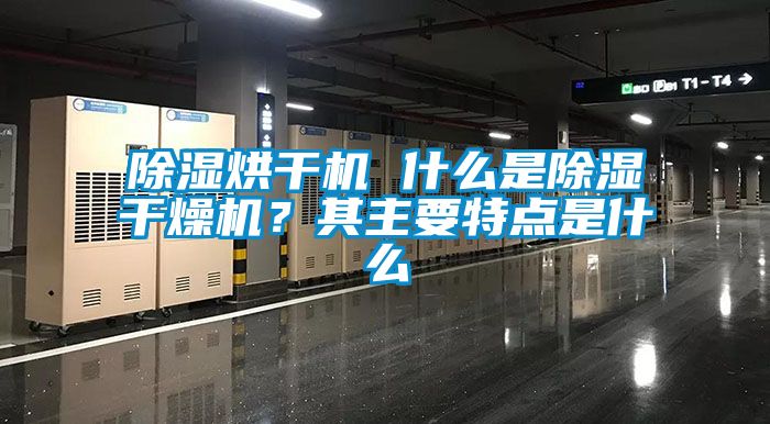 香蕉视频国产APP下载烘干机 什么是香蕉视频国产APP下载干燥机？其主要特点是什么