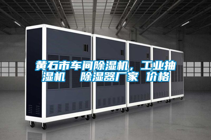 黄石市车间香蕉视频国产APP下载机，工业抽湿机  香蕉视频国产APP下载器厂家 价格