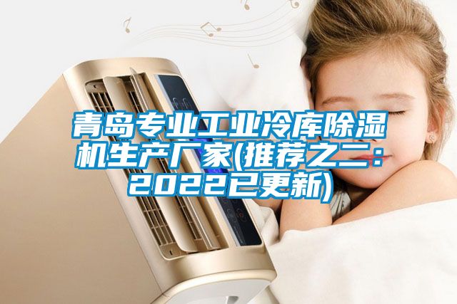 青岛专业工业冷库香蕉视频国产APP下载机生产厂家(推荐之二：2022已更新)