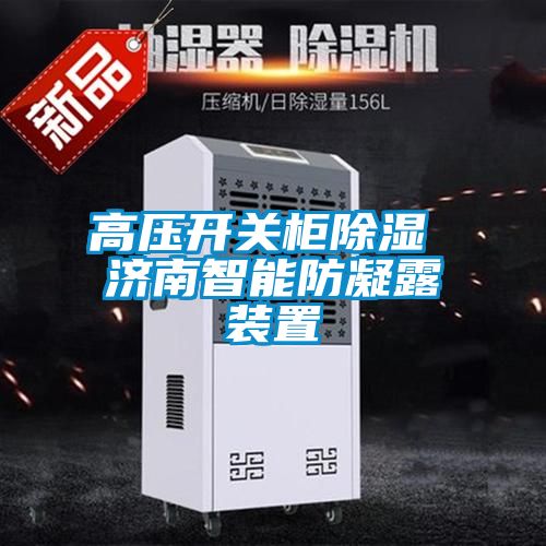 高压开关柜香蕉视频国产APP下载 济南智能防凝露装置