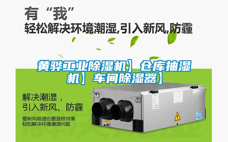 黄骅工业香蕉视频国产APP下载机】仓库抽湿机】车间香蕉视频国产APP下载器】