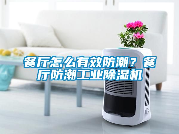 餐厅怎么有效防潮？餐厅防潮工业香蕉视频国产APP下载机