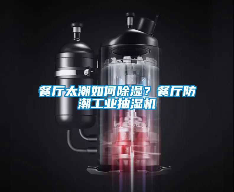 餐厅太潮如何香蕉视频国产APP下载？餐厅防潮工业抽湿机