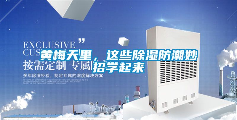 黄梅天里，这些香蕉视频国产APP下载防潮妙招学起来