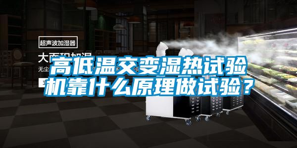 高低温交变湿热试验机靠什么原理做试验？
