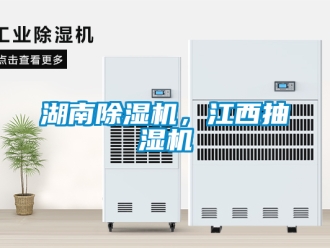 行业下载香蕉直播视频观看湖南香蕉视频国产APP下载机，江西抽湿机