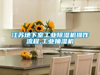 常見問題江蘇地下室工業香蕉视频国产APP下载機操作流程,工業抽濕機