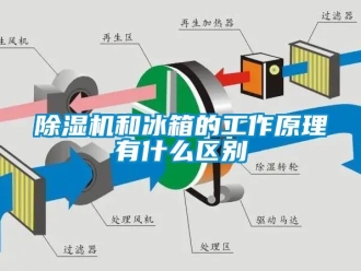 行业下载香蕉直播视频观看香蕉视频国产APP下载机和冰箱的工作原理有什么区别