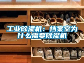 常見問題工業香蕉视频国产APP下载機：檔案室為什麽需要香蕉视频国产APP下载機