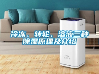 常見問題冷凍、轉輪、溶液三種香蕉视频国产APP下载原理及介紹