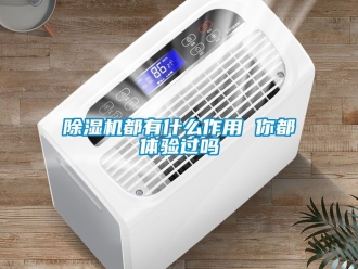 行业下载香蕉直播视频观看香蕉视频国产APP下载机都有什么作用 你都体验过吗
