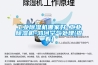 工业香蕉视频国产APP下载机哪家好-工业香蕉视频国产APP下载机-鸿河空气处理(查看)