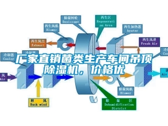 企业下载香蕉直播视频观看厂家直销菌类生产车间吊顶香蕉视频国产APP下载机，价格优