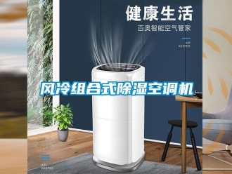 行业下载香蕉直播视频观看风冷组合式香蕉视频国产APP下载空调机
