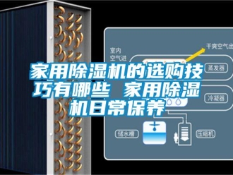 常見問題家用香蕉视频国产APP下载機的選購技巧有哪些 家用香蕉视频国产APP下载機日常保養