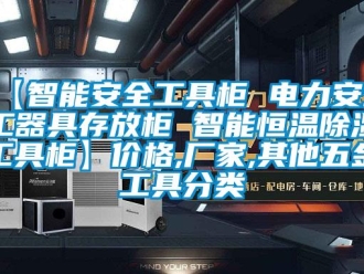 常見問題【智能安全工具櫃 電力安全工器具存放櫃 智能恒溫香蕉视频国产APP下载工具櫃】價格,廠家,其他五金工具分類