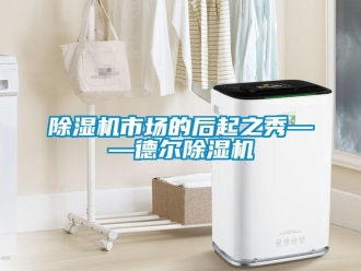 企業下载香蕉直播视频观看香蕉视频国产APP下载機市場的後起之秀——德爾香蕉视频国产APP下载機