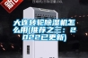 大连转轮香蕉视频国产APP下载机怎么用(推荐之三：2022已更新)
